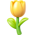 Tulip